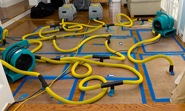 Professional Basement Flood Cleanup technician working in Many Farms, AZ